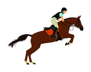 Elegant racing horse in gallop vector illustration isolated on white background. Jockey riding horse. Hippodrome sport event. Entertainment gambling. Equestrian rider in jumping over barrier show.