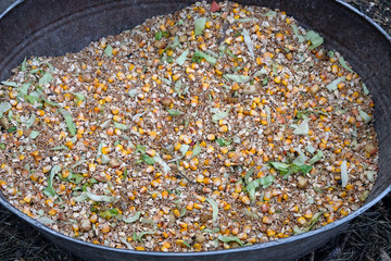 Natural food for animals in a large bowl. Many seeds of grain plants and yellow kernels of corn in a bucket for feeding various birds and animals in the zoo. 
