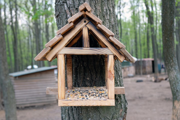 A wooden birdhouse in the shape of a house with a roof hangs on a tree with seeds inside. Bird feeder in the park, taking care of the birds