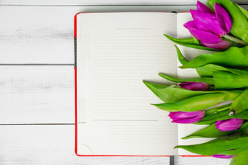 Purple tulips on a background of a notebook with blank pages. The concept of handing flowers to a woman, girl. Beautiful tulips and flowers, mother's day, women's day.