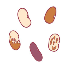 Isolated vector flat beans set