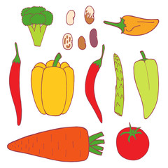 Isolated vector flat set of vegetable