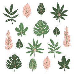 Fototapeta premium Set of tropical leaves. Hand drawn vector elements