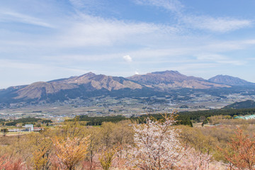 Fototapeta na wymiar ケニーロードから見た阿蘇山と桜　 Aso Mt. and Cherry Blossoms　熊本県阿蘇市