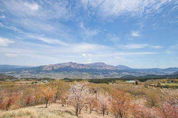ケニーロードから見た阿蘇山と桜　 Aso Mt. and  Cherry Blossoms　熊本県阿蘇市