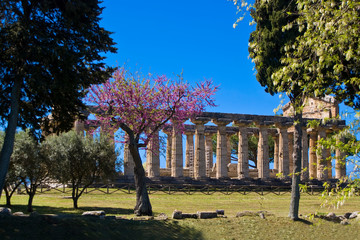Temple of Athena, Paestum © arkanoide