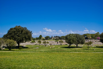 Temple of Athena, Paestum © arkanoide