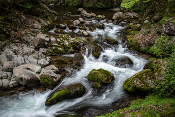 Obraz premium 島根県 裏匹見峡の渓流