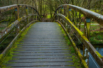 Obraz premium Wooden bridge over creek in Lake District.