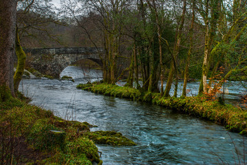 Fototapeta na wymiar Forest, river and waterfall under a medieval stone arch bridge.