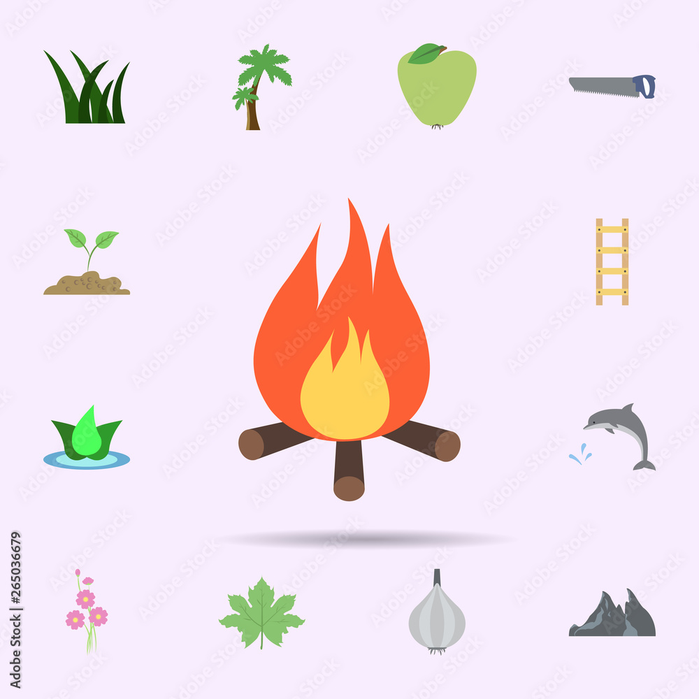 Poster bonfire colored icon. universal set of nature for website design and development, app development