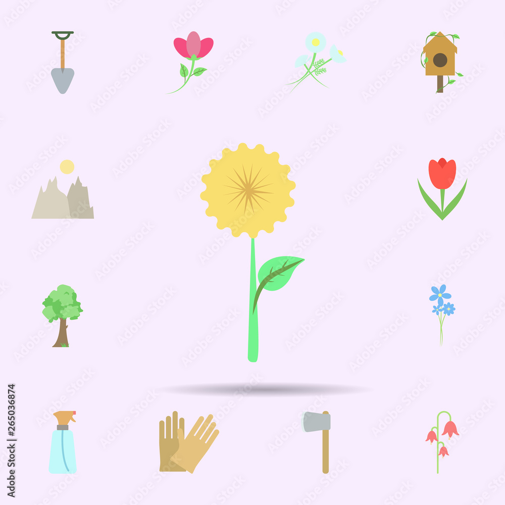 Poster chamomile colored icon. universal set of nature for website design and development, app development