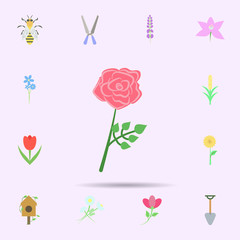 Rose flower colored icon. Universal set of nature for website design and development, app development