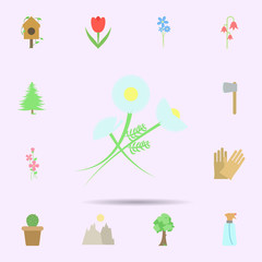 Flower colored icon. Universal set of nature for website design and development, app development