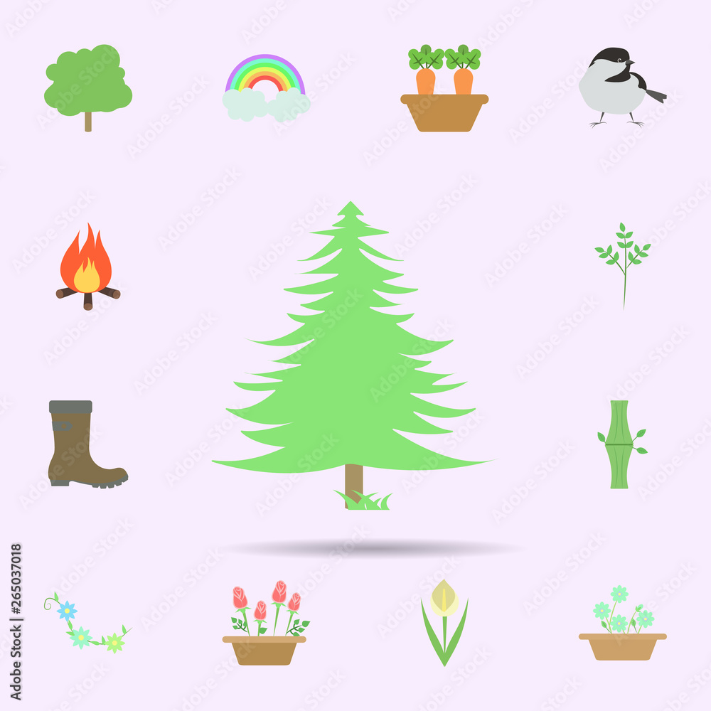 Poster spruce colored icon. universal set of nature for website design and development, app development