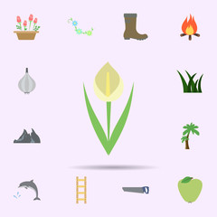 Flower colored icon. Universal set of nature for website design and development, app development