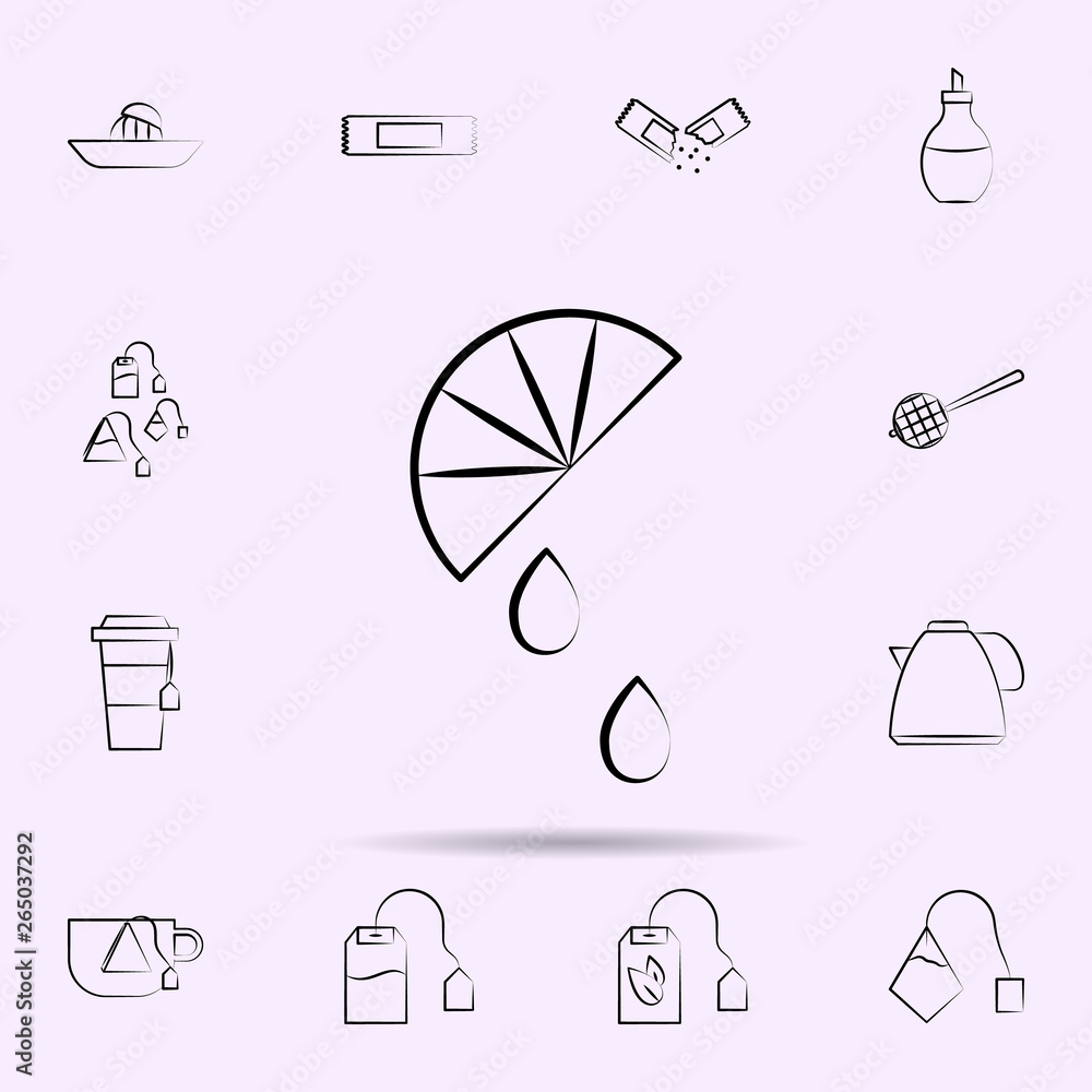 Poster slice of lemon icon. universal set of tea for website design and development, app development