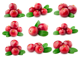 cranberry isolated on white background, clipping path, full depth of field