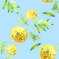 Yellow Marigold Seamless. Watercolor Illustration. Flower pattern.