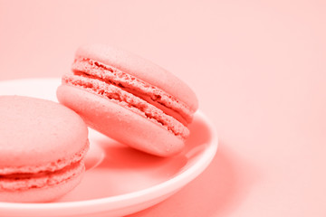 Sweet almond macaron or macaroon dessert cake colored in trendy color Coral background. Bright Macro color 16-1546. Minimal food bakery concept. Flat lay top view copy space
