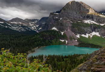 Grinnell Lake Surrounded by Green Trees