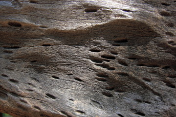 Old wooden for background or texture,Gray or black wood.Striped line wood.