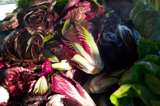 Radicchio trevisio vegetables in the market