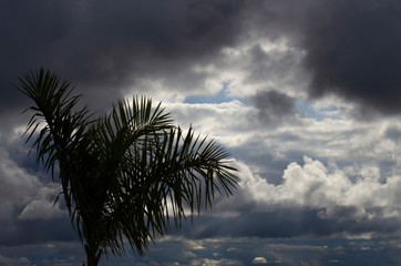 nuvens céu