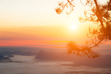 Sun rise At high mountains There are forests and pines.