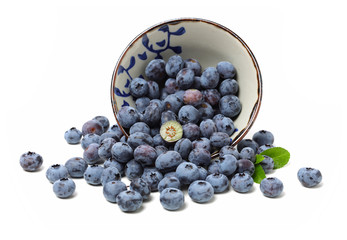 Blueberry on a white background