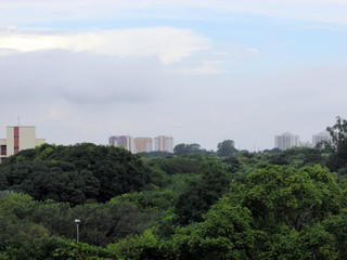 Fototapeta na wymiar Urban landscape of Fortaleza, Ceara