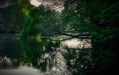 Natural scenery photographed in the park