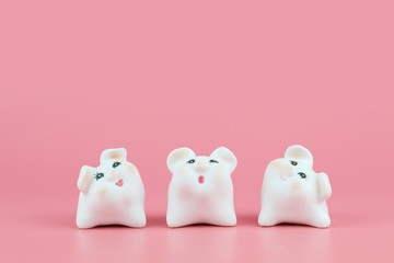 2019 Chinese Zodiac Sign Year of Pig, white cute pigs on pink background