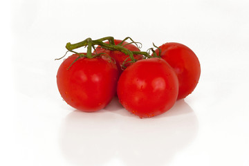 Vine ripened  Red  Bunch of Tomatoes On White Background