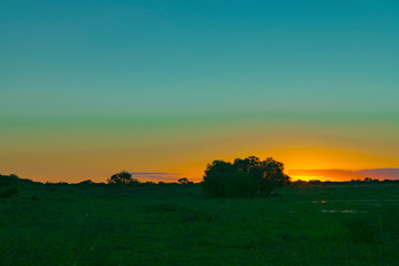 Puesta de Sol de Campo