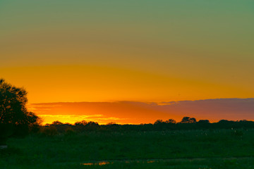 Puesta de Sol de Campo