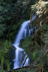 Waterfall In Forest