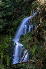 Fototapeta premium Waterfall In Forest