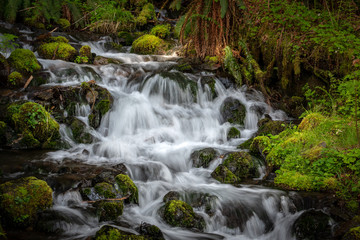 Waterfall In Forest