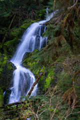 Waterfall In Forest