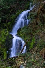 Fototapeta premium Waterfall In Forest