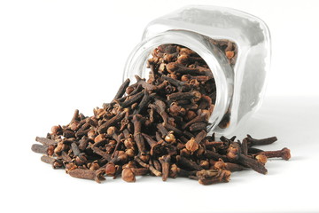 dried spice clove aromatic flower buds in bottle on white background