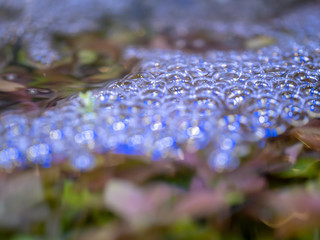Bubbles in the water. Air bubbles from Oxygen in fish ponds