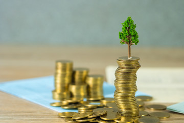 Tree growing on pile of golden coins and account book or credit cart, growth business finance...