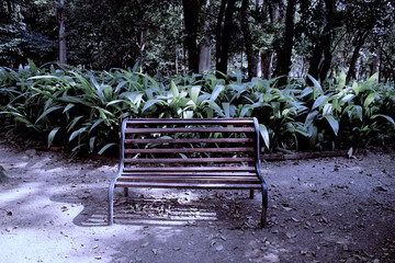 bench in the park