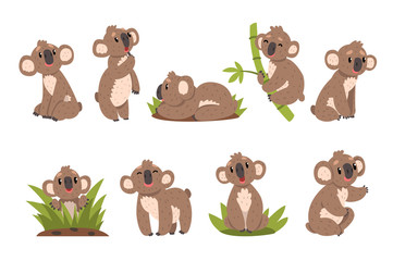 Koala bear set, Australian marsupial animal character in different situations vector Illustrations on a white background