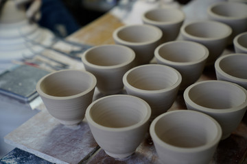 Has not been fired ceramic products