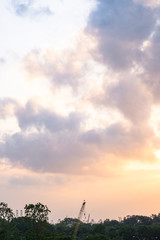 Fototapeta premium View of the beautiful sky and a crane at sunset.