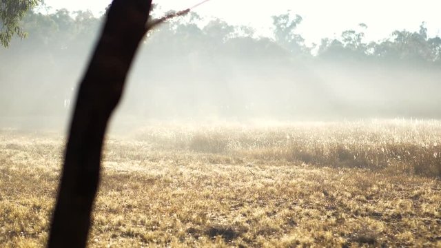 Misty morning across Australian farmland