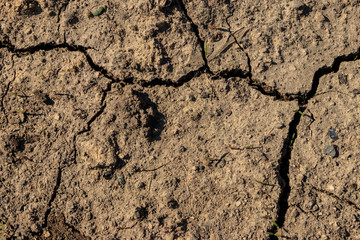 Texture of cracked dry ground for background